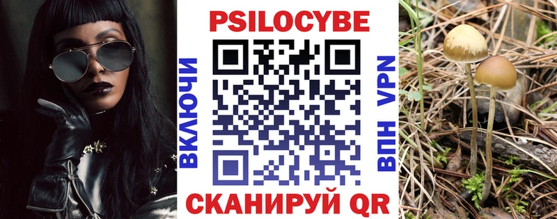маркетплейс телеграм  Томари  Галлюциногенные грибы Psilocybe 